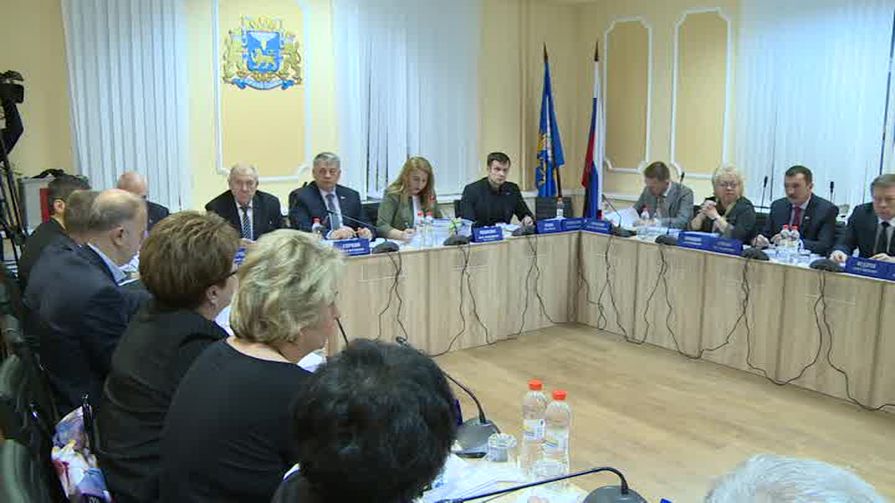 Депутаты Гордумы заложили традицию оказывать поддержку многодетным семьям Пскова перед Новым годом