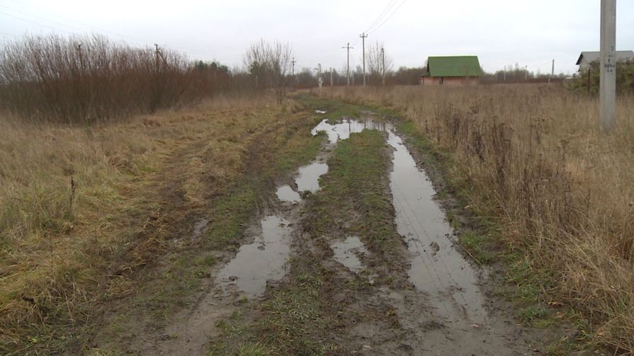В Пскове многодетные семьи и ветераны получили в пользование недоступные участки