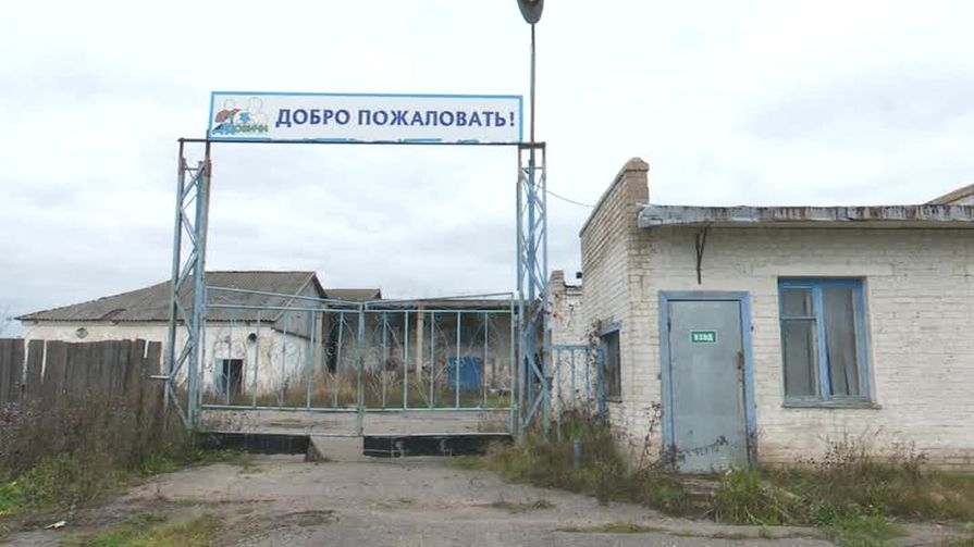 Обещанной зарплаты ждут пятый год бывшие сотрудники молокозавода в Дедовичах