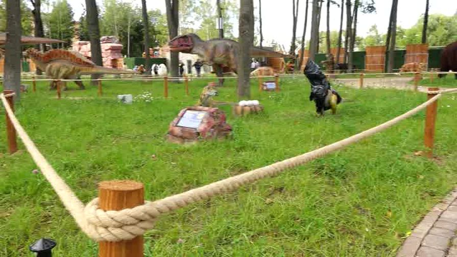 Великолукским диноящерам уже нужна «скорая помощь»