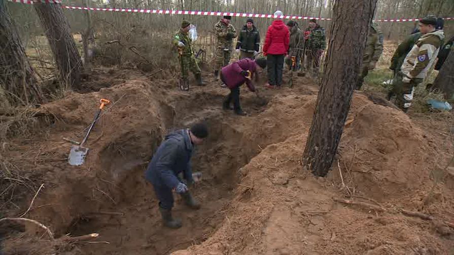 Археологи и поисковики спорят о принадлежности найденных в Пыталовском районе останков