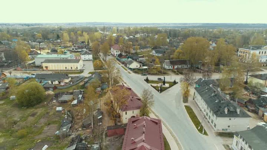 В Себежском районе остановился рост числа заболевших covid-19
