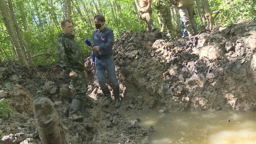 Отряд «Поиск 97» обнаружил в Пыталовском районе останки летчика и его самолет