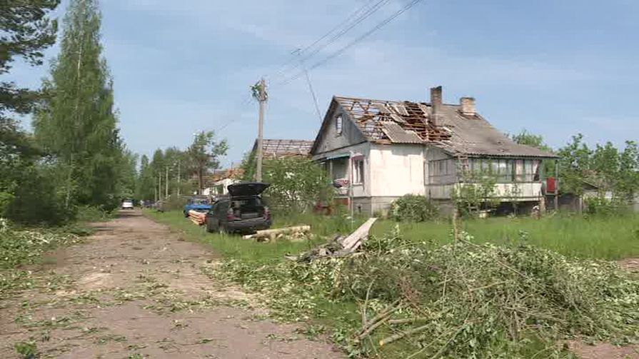 В Бежаницком районе подсчитывают ущерб от урагана