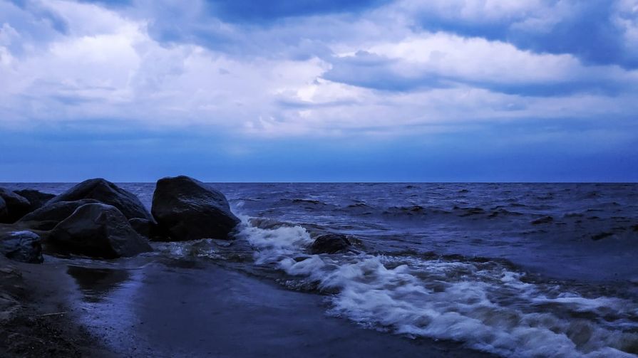vishnevetskaya3