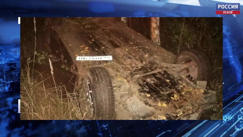 Встреча с лебедем на дороге обернулась трагедией