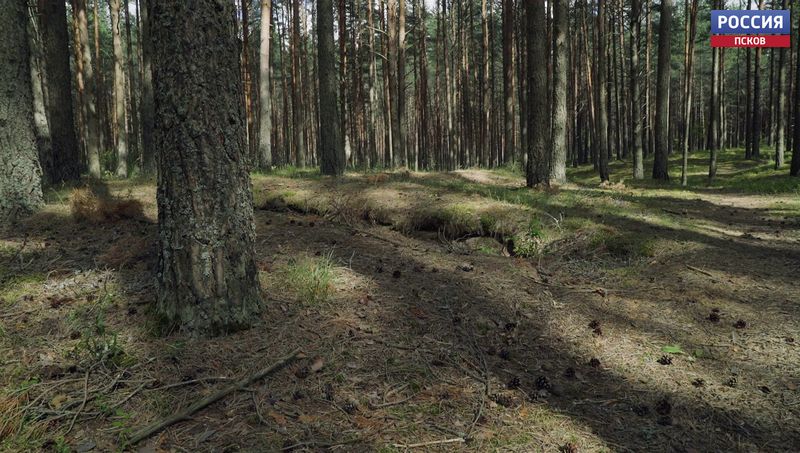 Очередная находка в рамках проекта «Без срока давности»