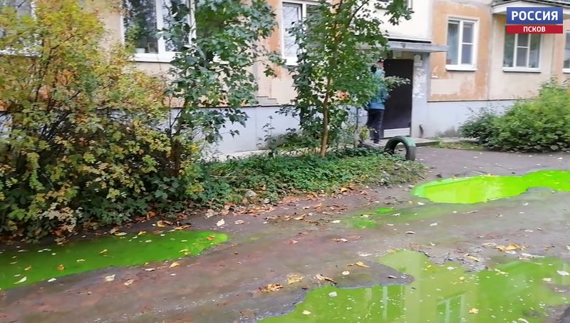Псковичей озадачили зеленые лужи в одном из дворов