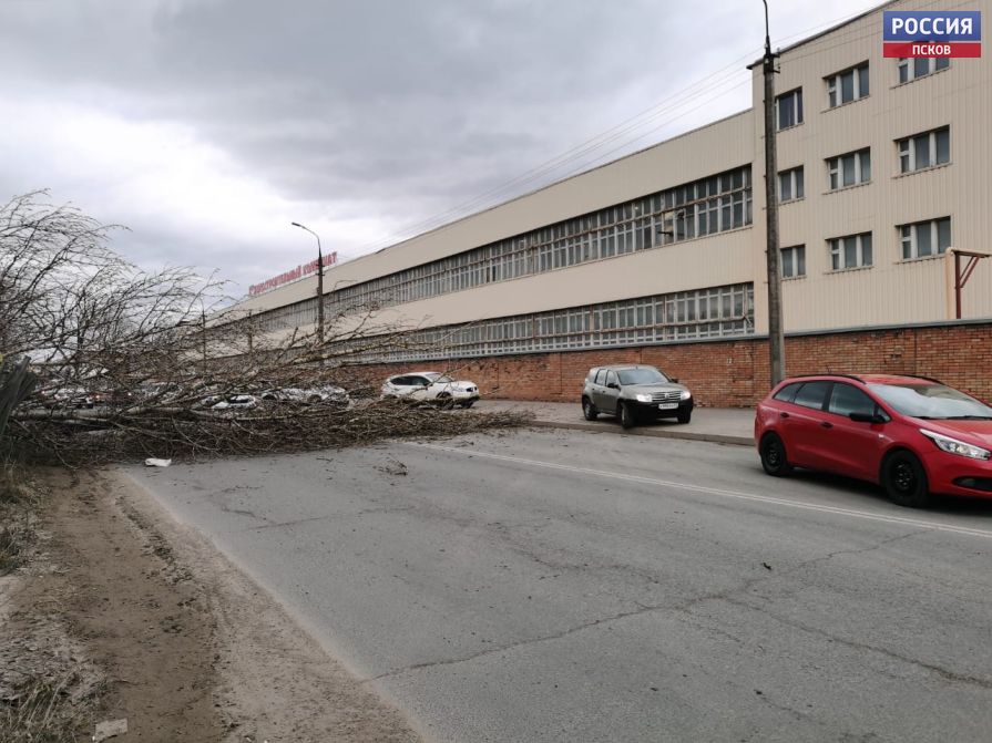 Фото ГТРК "Псков"