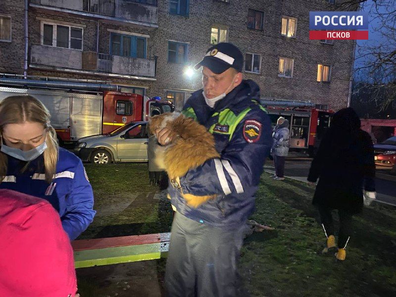 Фото Нарека Хачатряна