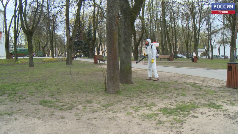 44 гектара в Пскове подвергнут акарицидным обработкам против клещей