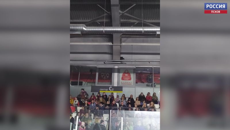 Организаторы концерта в Пскове заявили, что все меры предосторожности были соблюдены