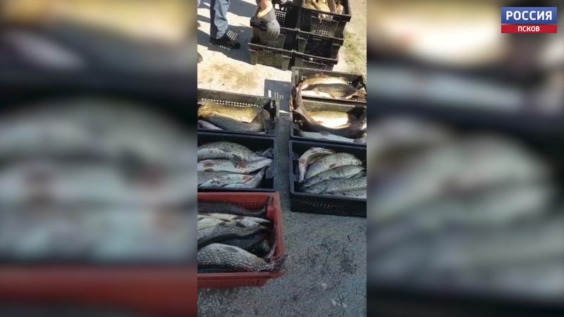 В Печорском районе поймали браконьера с большим уловом