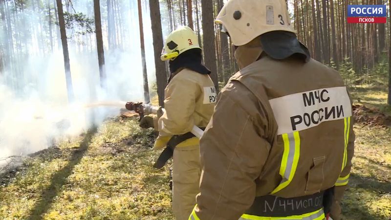 В Гдовском районе сегодня проходят всероссийские комплексные учения МЧС