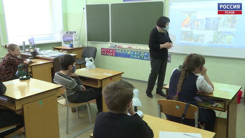 Псковские зоозащитники проводят для школьников уроки ответственного отношения к животным