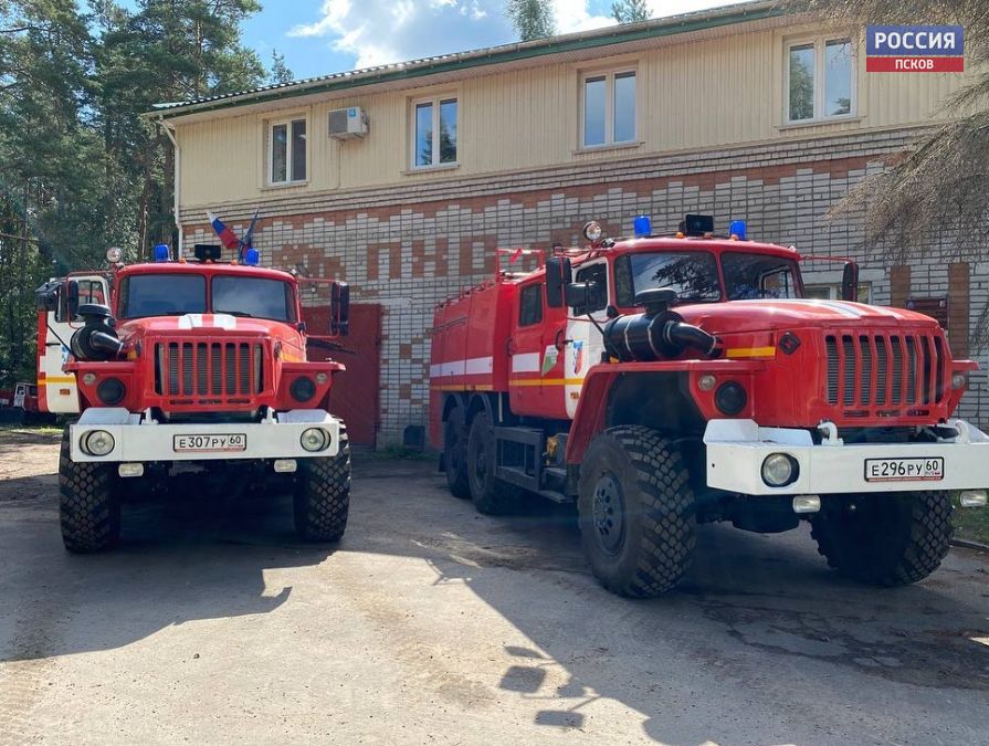 Фото: пресс-служба администрации Псковской области