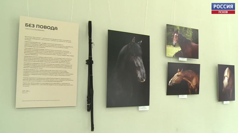 Петербургский фотограф Светлана Балабанова выставила открыла выставку в Пскове