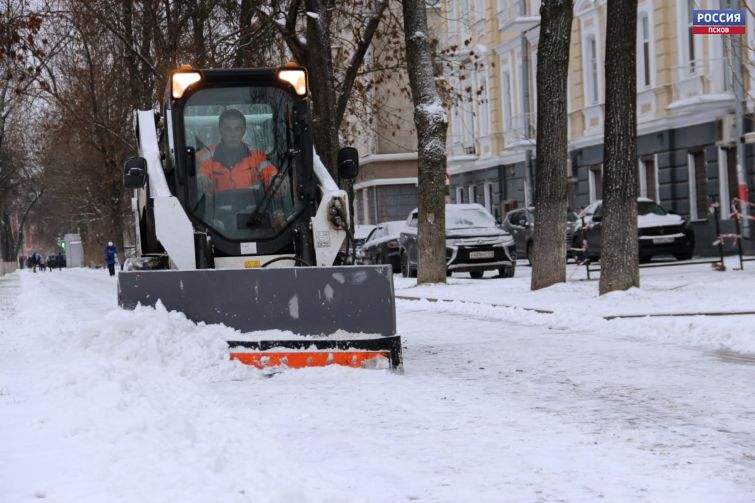 Фото: пресс-служба администрации Псковской области
