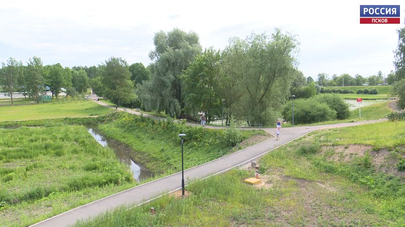 Новые деревья и кустарники высадят в этом году в Пскове