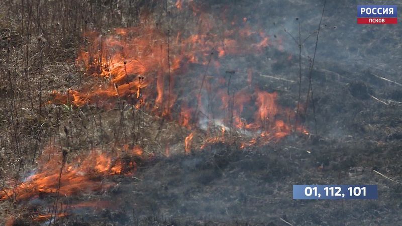 В МЧС предупредили о высокой пожарной опасности