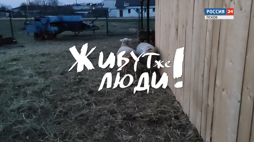 Живут же люди! Семья Молодежевых