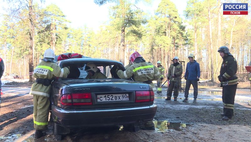 Юбилейные соревнования «Молодые профессионалы» в этом году стали самыми массовыми