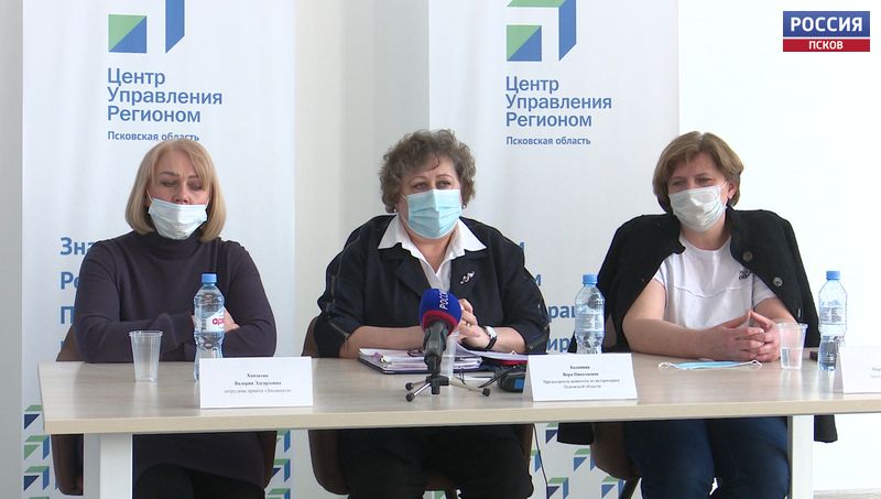Ситуация с бездомными животными в Псковской области регулируется только благодаря добровольцам-зоозащитникам