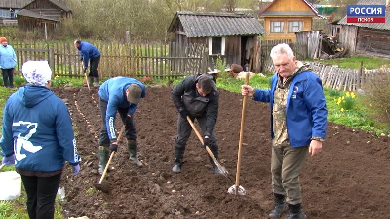 Фонд «Земляки» провел благотворительную акцию по раздаче семенного картофеля