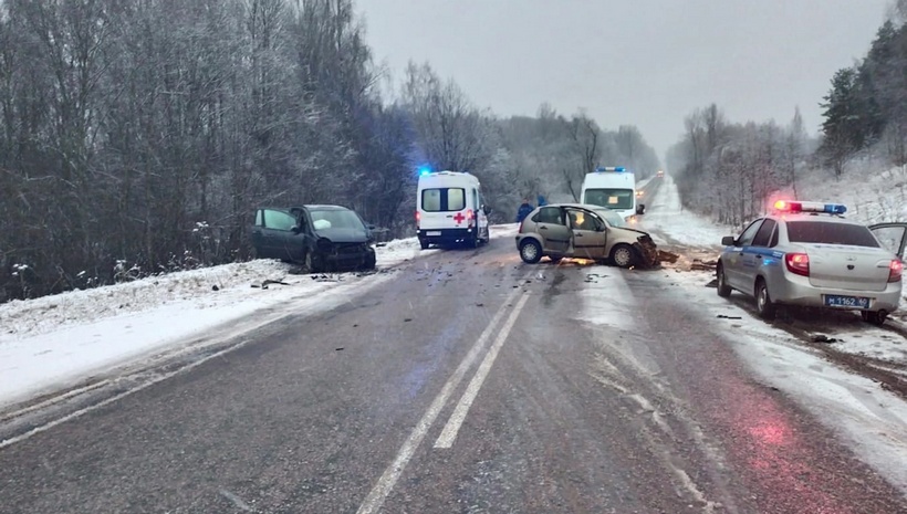 В Великолукском районе в субботнем ДТП погиб 6-летний ребенок