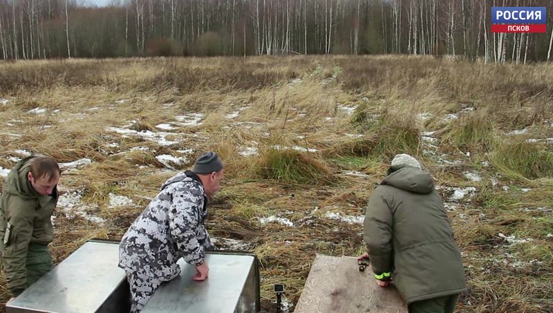 В Полистовском заповеднике выпустили на волю медвежат Пенелопу, Бусинку и Машу