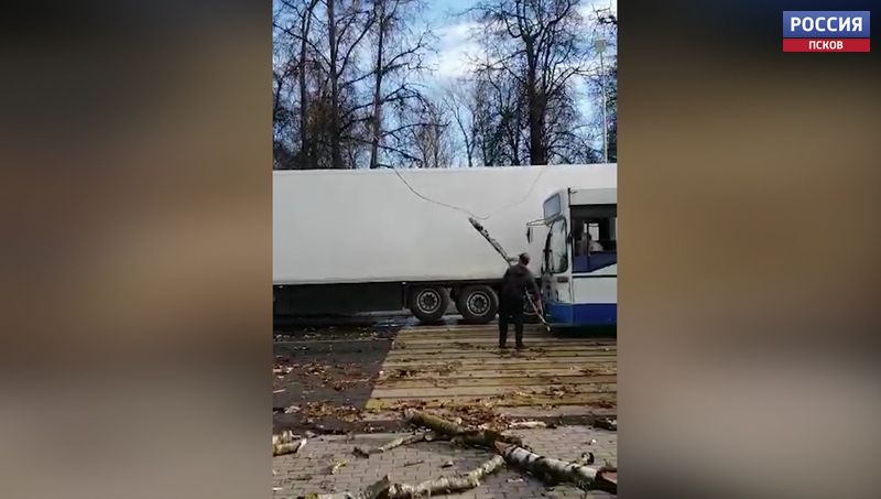 Дерево под порывом ветра упало на проезжую часть на улице Вокзальной в Пскове