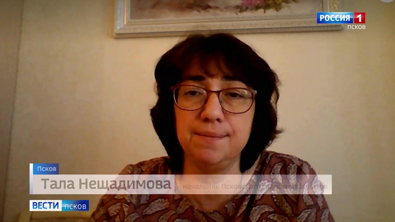 Бабье лето уходит из Псковской области