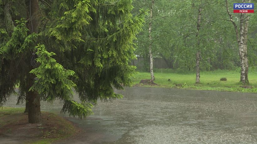 Псковскую область накроют сегодня сильные дожди