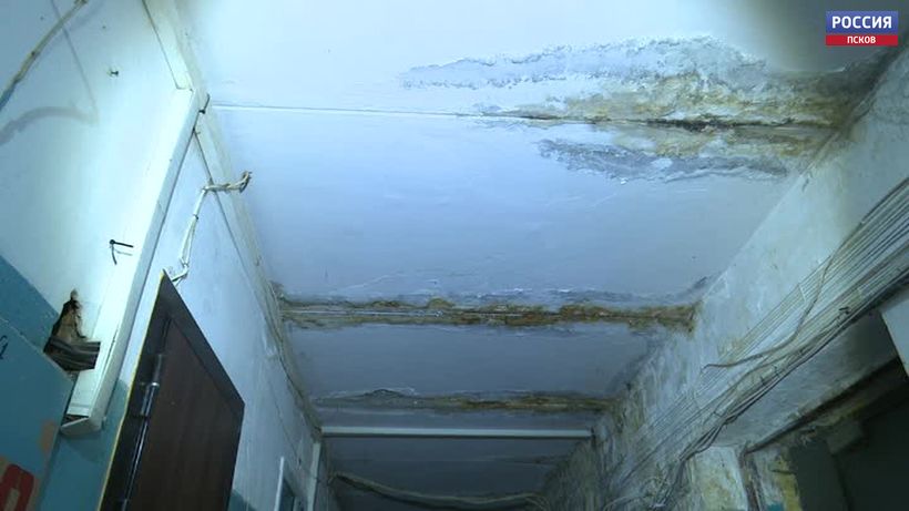 Фото: Телеграм-канал комитета по здравоохранению Псковской области