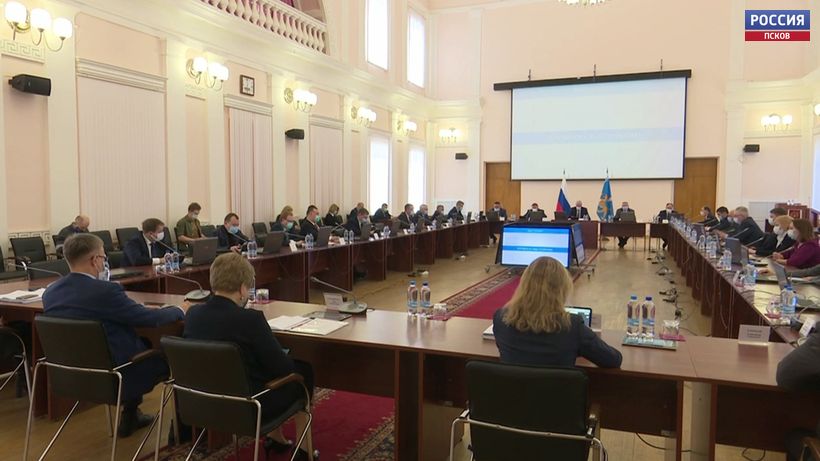 Псковское облсобрание обсудило передачу районам полномочий по отлову и содержанию бездомных животных