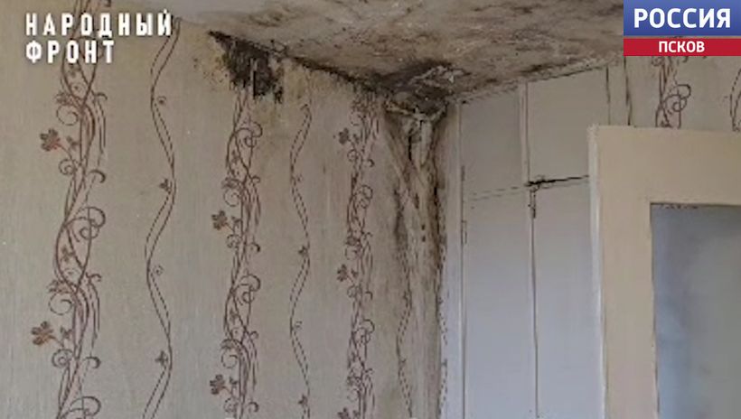 Плесень, сырость и трещины: "Народный фронт" требует включить дом в Гдове в программу капремонта