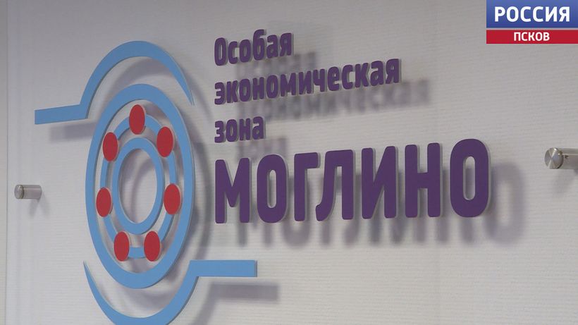 Соотечественникам из Латвии и Германии рассказали о потенциале региона и мерах поддержки для переселенцев