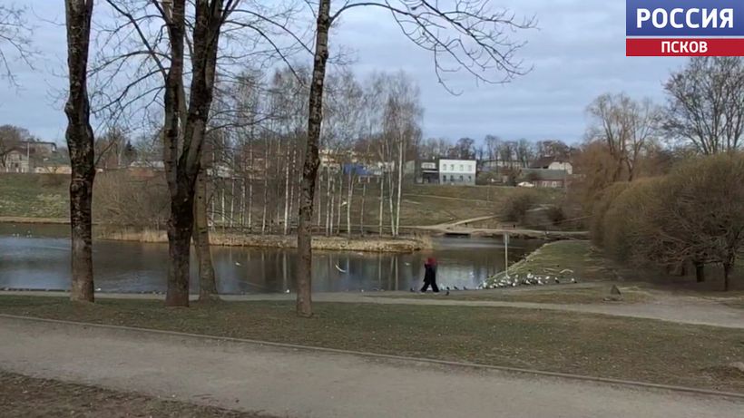 В середине недели в Пскове может выпасть снег