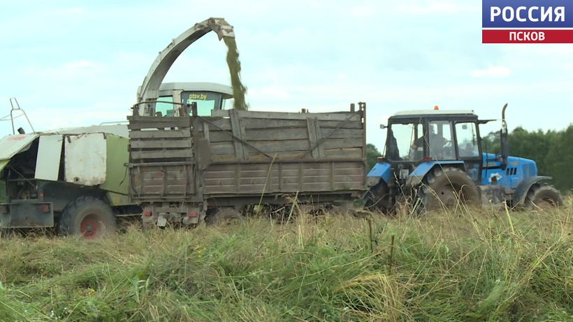 Заготовить корма и сохранить показатели производства. В Ершовском сельхозкооперативе горячая пора 