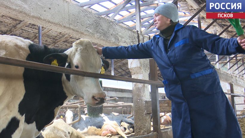 Отработать без сбоев и задержек. Расскажем, как в кооперативе "Победа" готовятся к весенним полевым работам