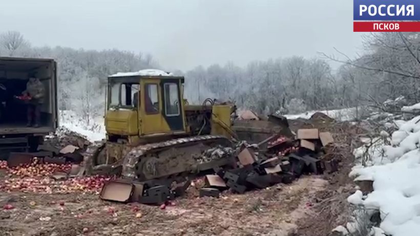 Из документов только наклейки на коробках. В Пскове уничтожили несколько тонн польских яблок