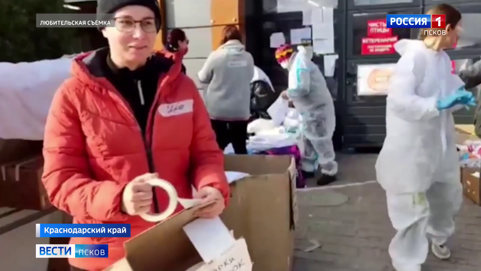 Псковички отправились спасать птиц, пострадавших из-за катастрофы в Керченском проливе