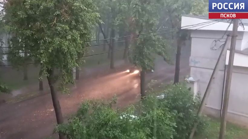 Не прячьтесь под деревьями! Правила безопасности во время грозы от МЧС