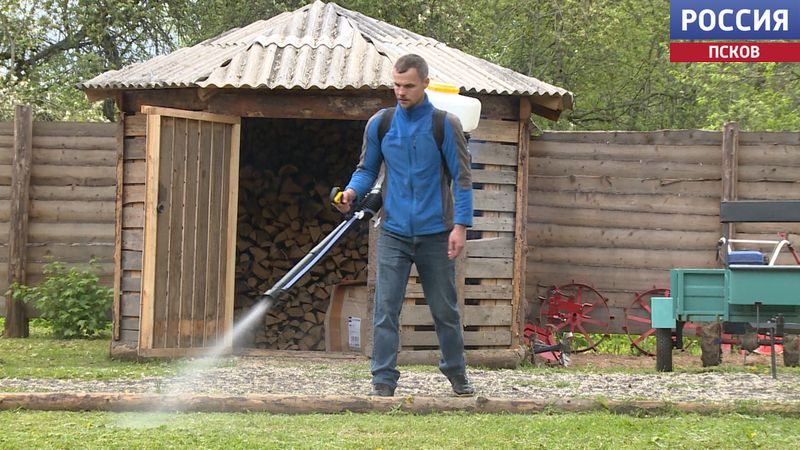 От соцконтракта до создания ТОСа один шаг. 