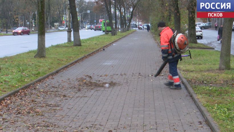 Больше половины центральных улиц Пскова убраны от опавшей листвы. Новости Пскова и Псковской области. Вести-Псков Псков готовится к зиме: с центральных улиц вывезли 400 кубометров опавшей листвы