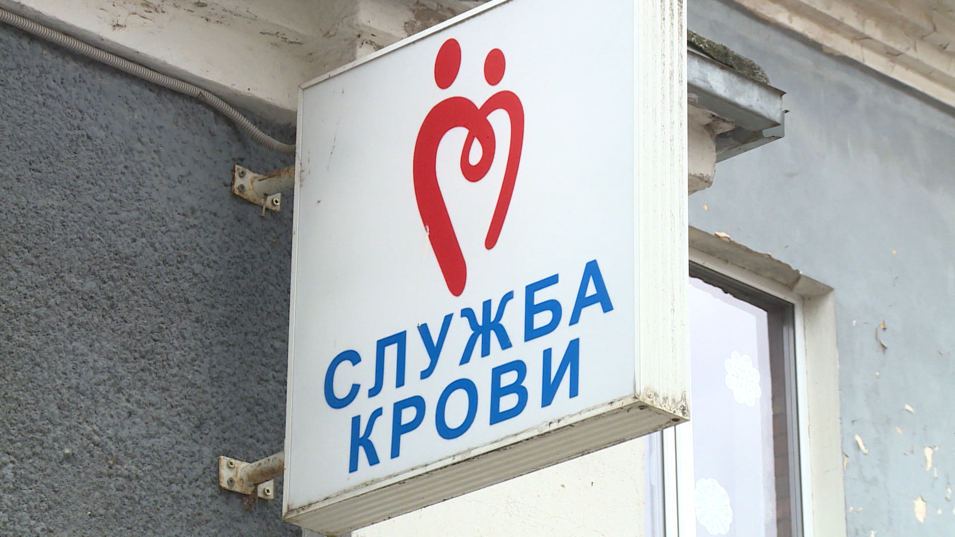 Донорство костного мозга. Псковичам рассказали, как они могут помочь больным лейкемией