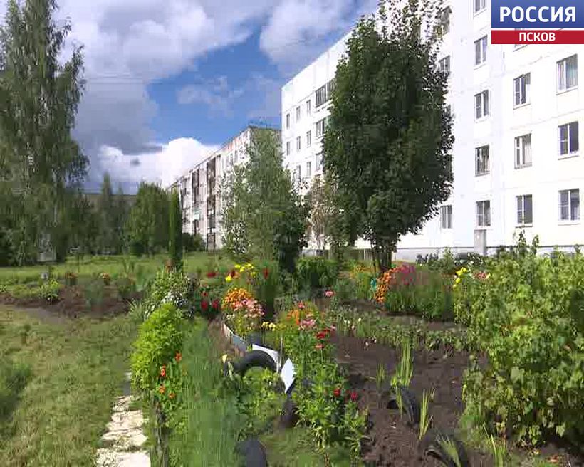 Жительница Дедовичей создала клумбу на месте свалки