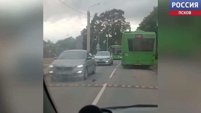 Псковские "лежачие полицейские" вызвали бурю негодования в соцсетях