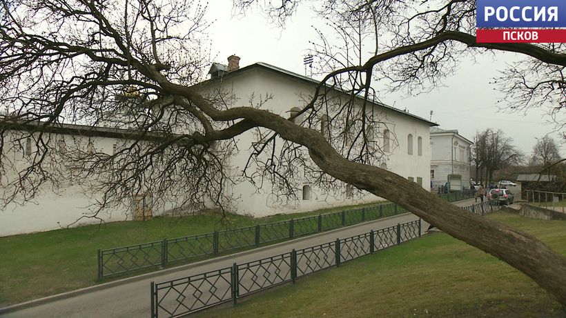 На календаре март, а тепло, как в апреле. Откуда и надолго ли к нам пришло аномальное потепление?