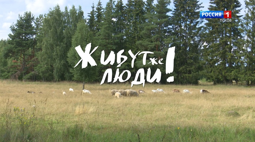 Живут же люди! Деревня Козье Загорье